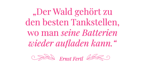 Ein Zitat zum Kraftort Wald