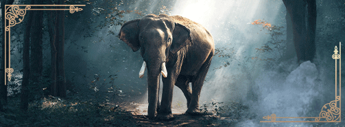 Krafttier Elefant